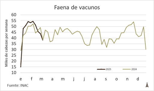 Image related to report content