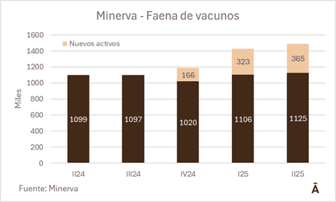 Image related to report content