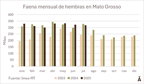 Image related to report content