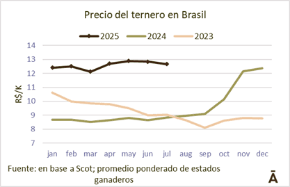 Image related to report content