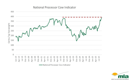 Image related to report content