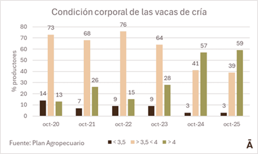 Image related to report content