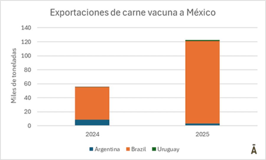 Image related to report content