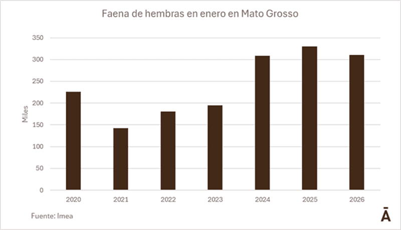 Image related to report content