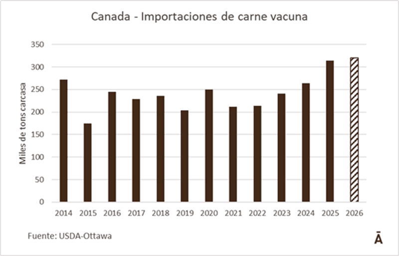 Image related to report content