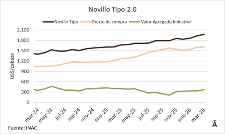 Image related to report content