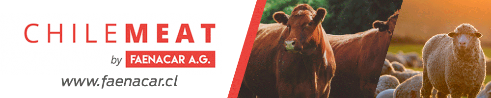 Image related to report content