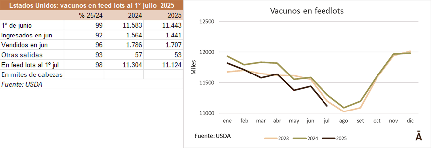 Image related to report content