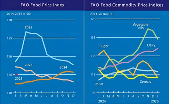 Image related to report content