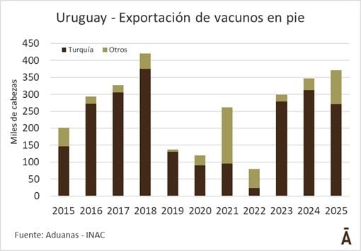 Image related to report content