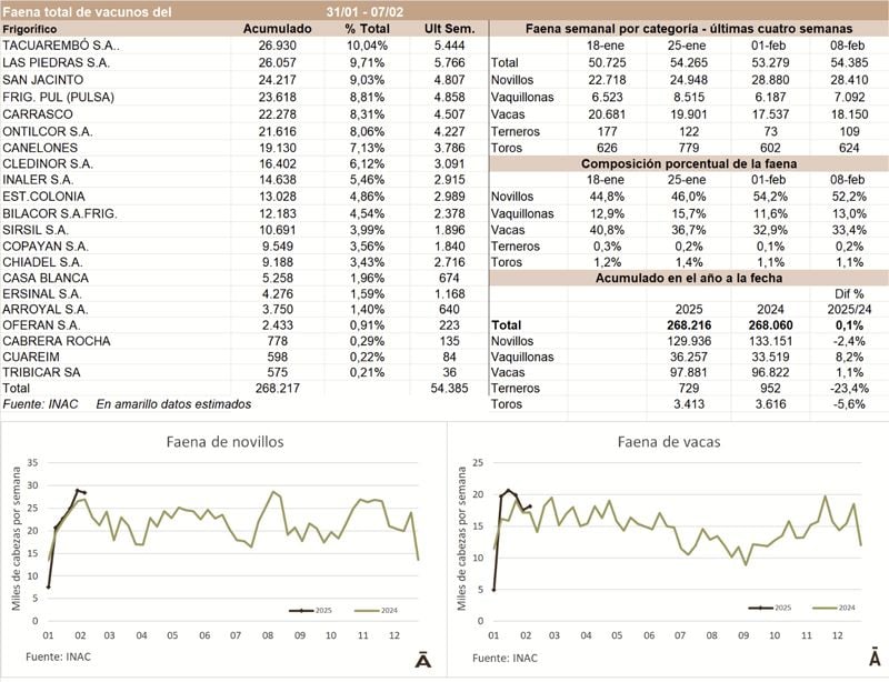 Image related to report content