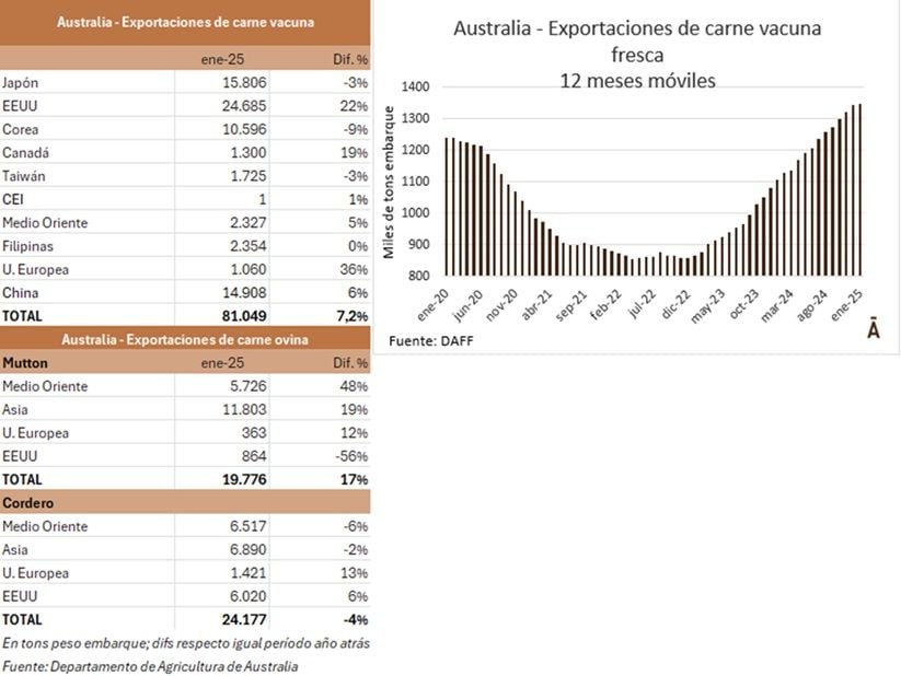 Image related to report content