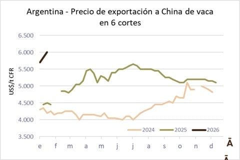 Image related to report content