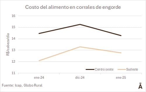 Image related to report content