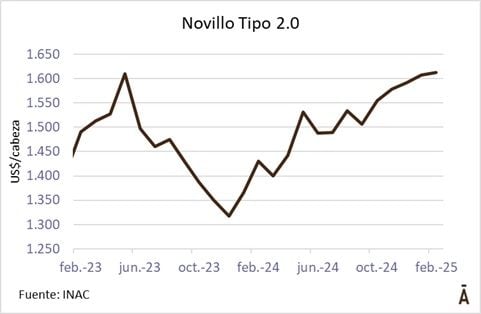 Image related to report content