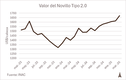 Image related to report content