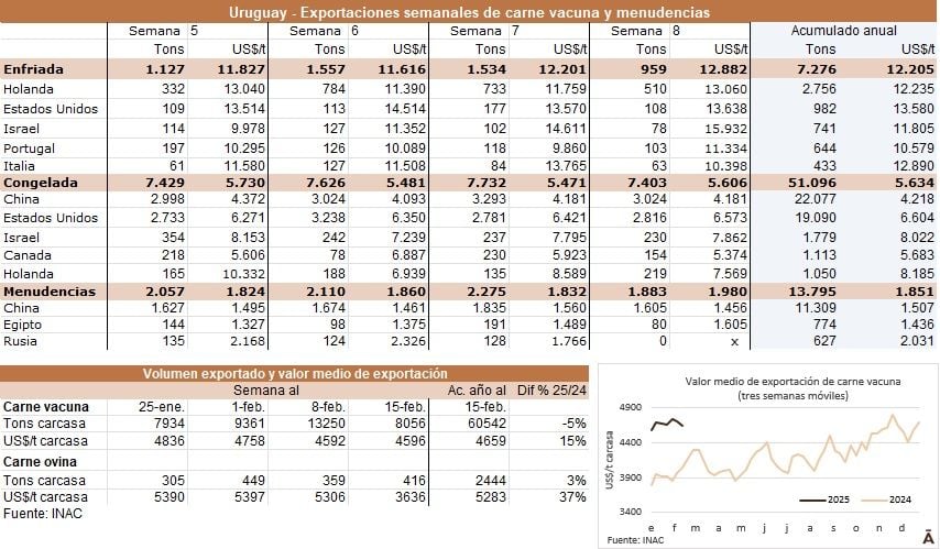 Image related to report content