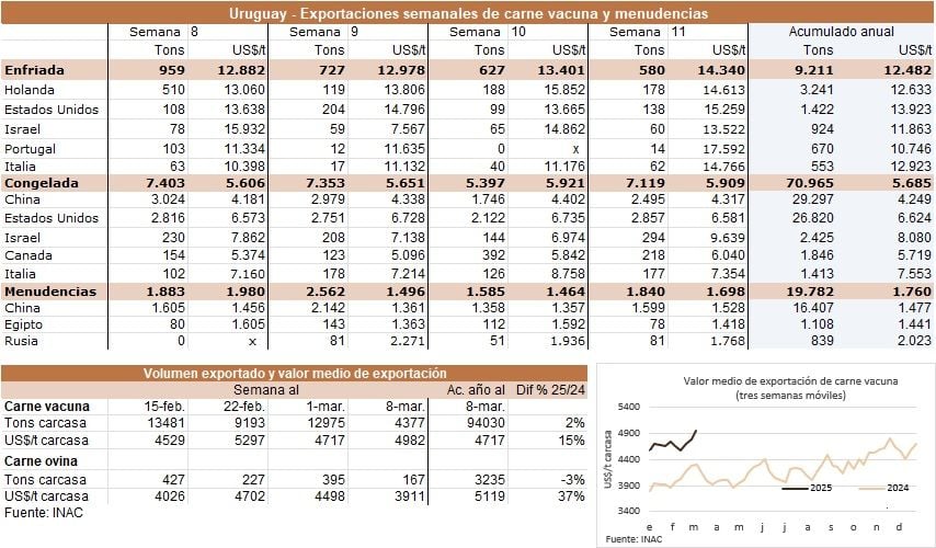 Image related to report content