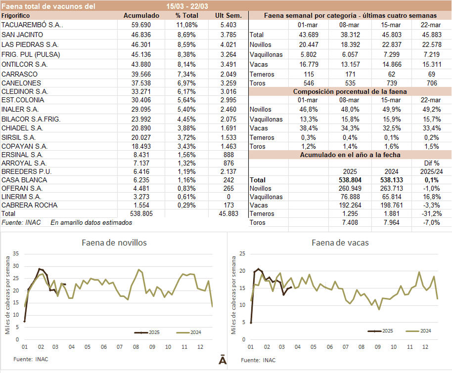 Image related to report content