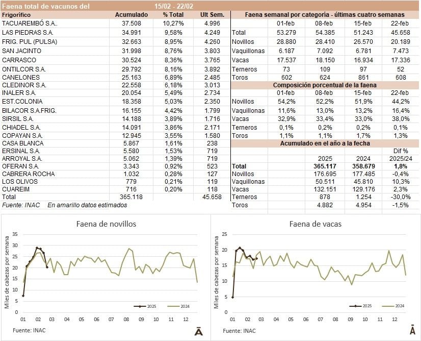Image related to report content