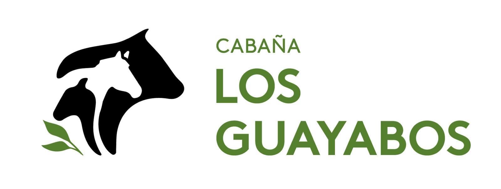 Guayabos logo