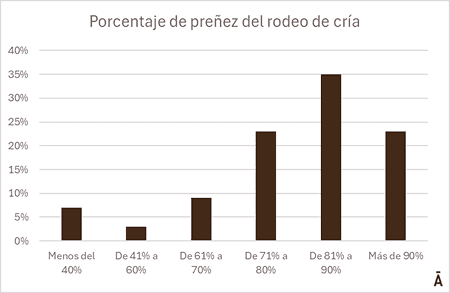 Image related to report content
