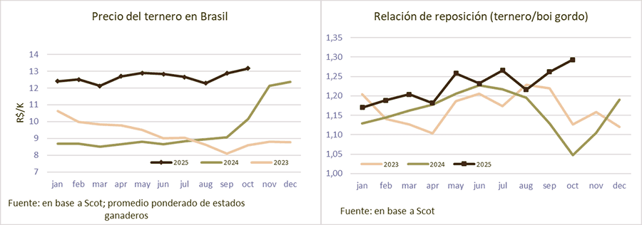 Image related to report content