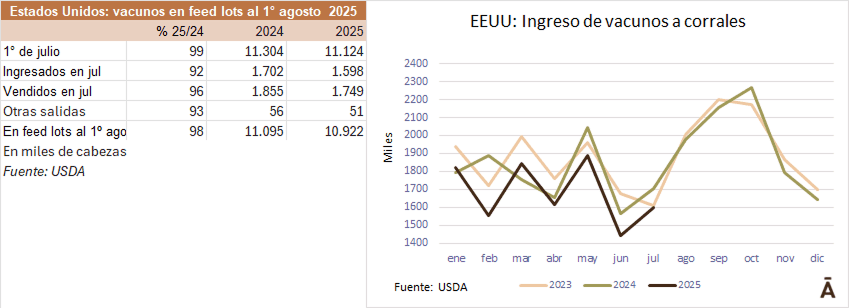 Image related to report content