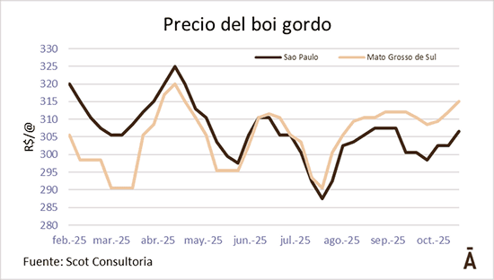 Image related to report content