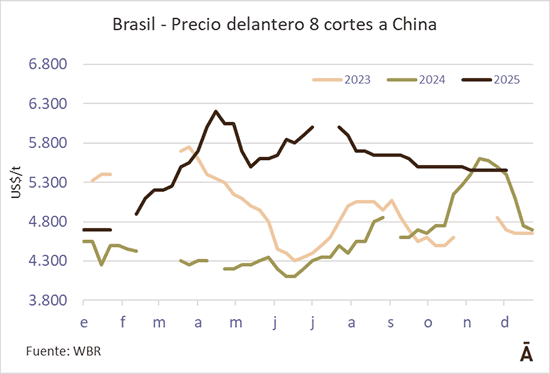 Image related to report content