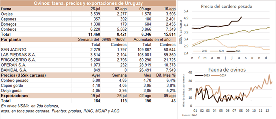 Image related to report content