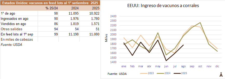 Image related to report content