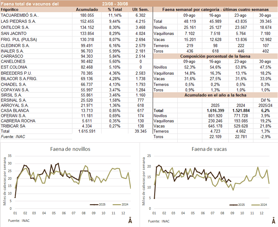Image related to report content