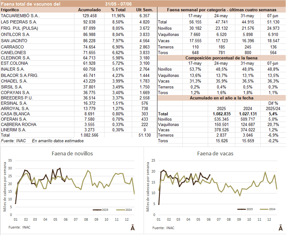 Image related to report content