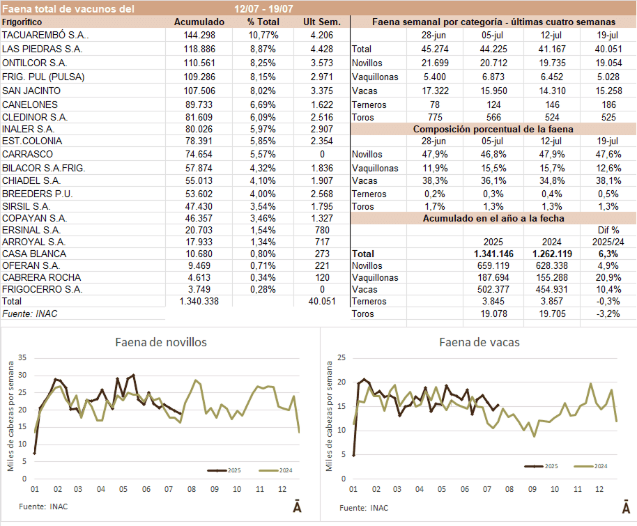 Image related to report content