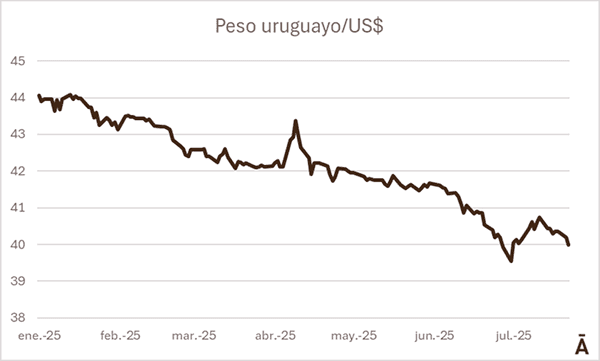 Image related to report content