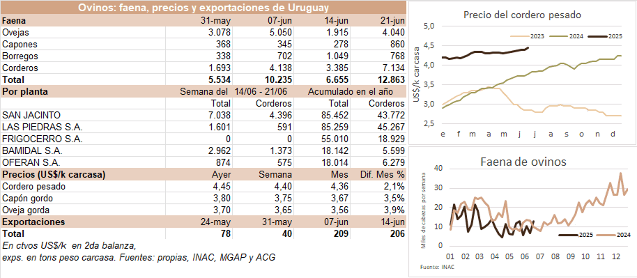 Image related to report content