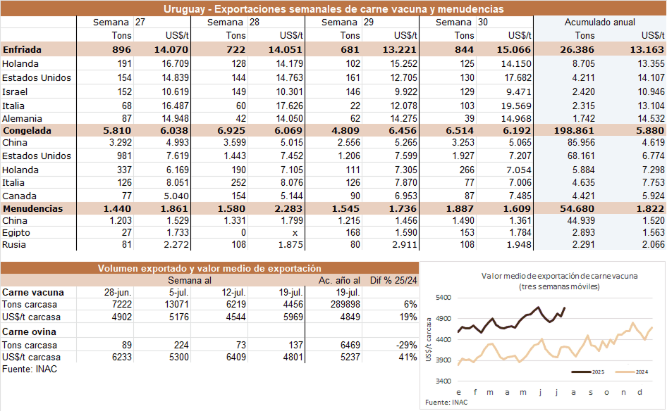 Image related to report content