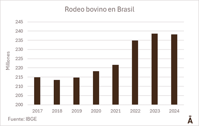 Image related to report content