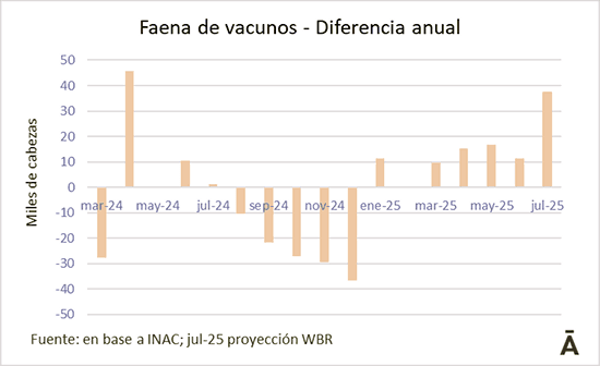 Image related to report content