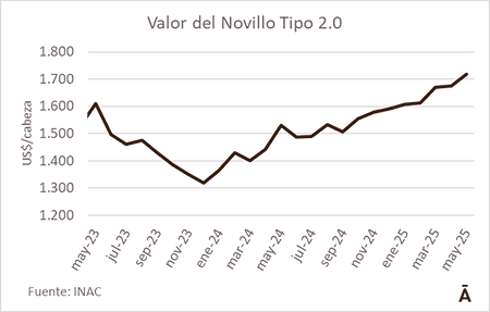 Image related to report content