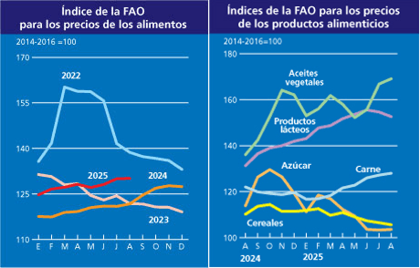 Image related to report content