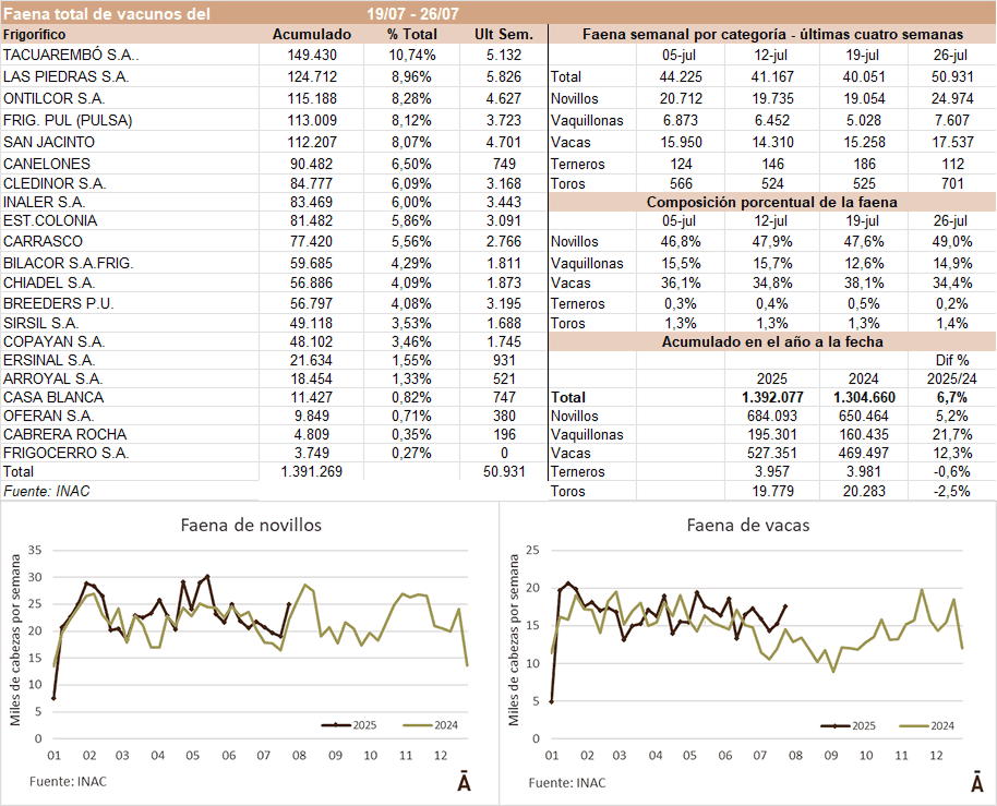 Image related to report content