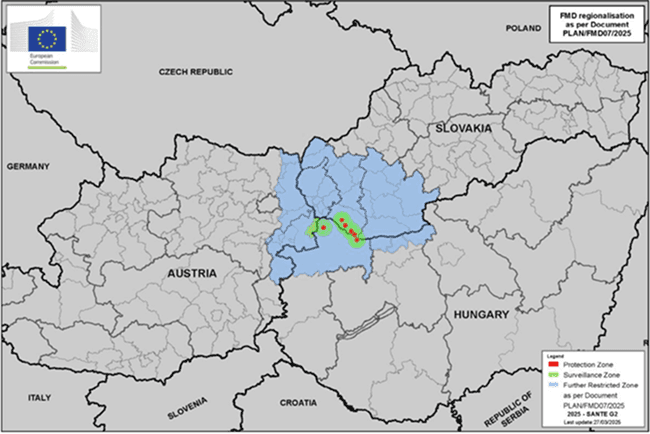 Image related to report content