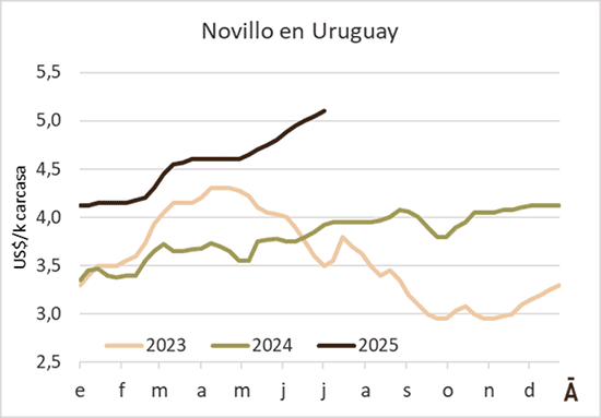 Image related to report content