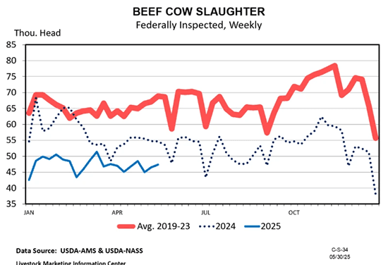 Image related to report content