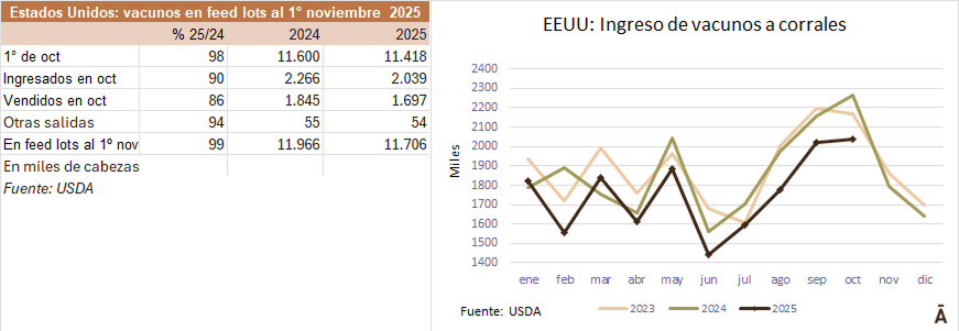 Image related to report content