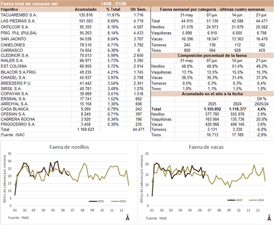 Image related to report content