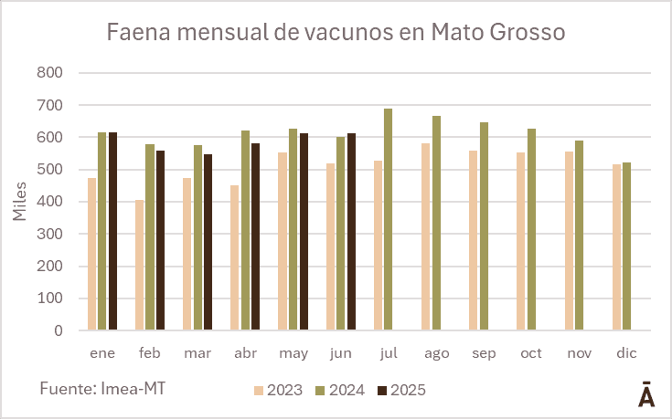 Image related to report content