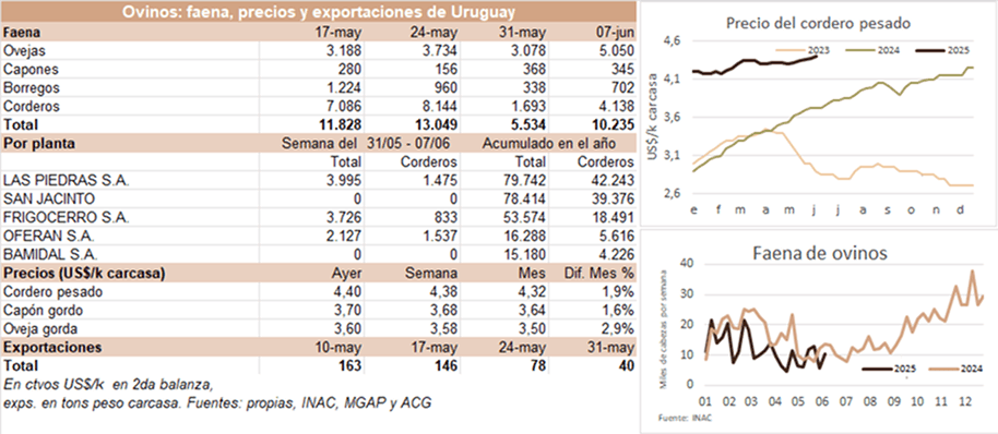 Image related to report content